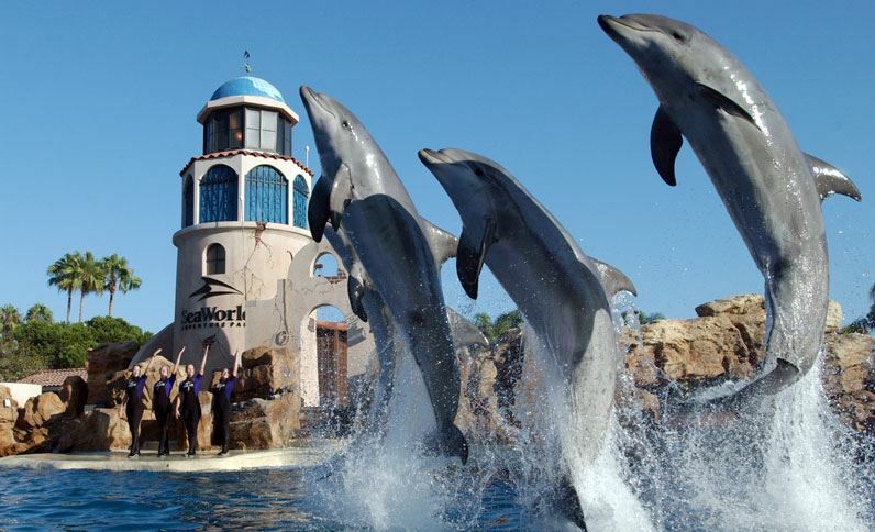 Holiday Inn San Antonio Northwest- Seaworld Area By Ihg Εξωτερικό φωτογραφία